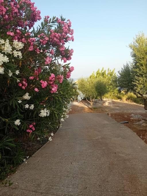 Sofia'S Summer House Koróni Εξωτερικό φωτογραφία