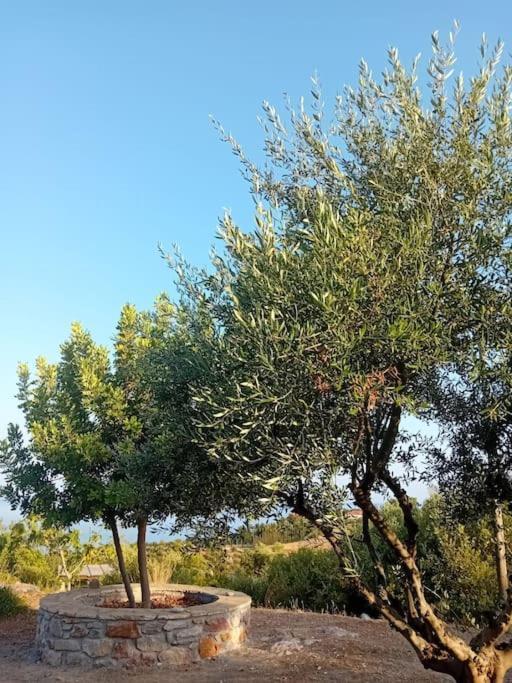 Sofia'S Summer House Koróni Εξωτερικό φωτογραφία